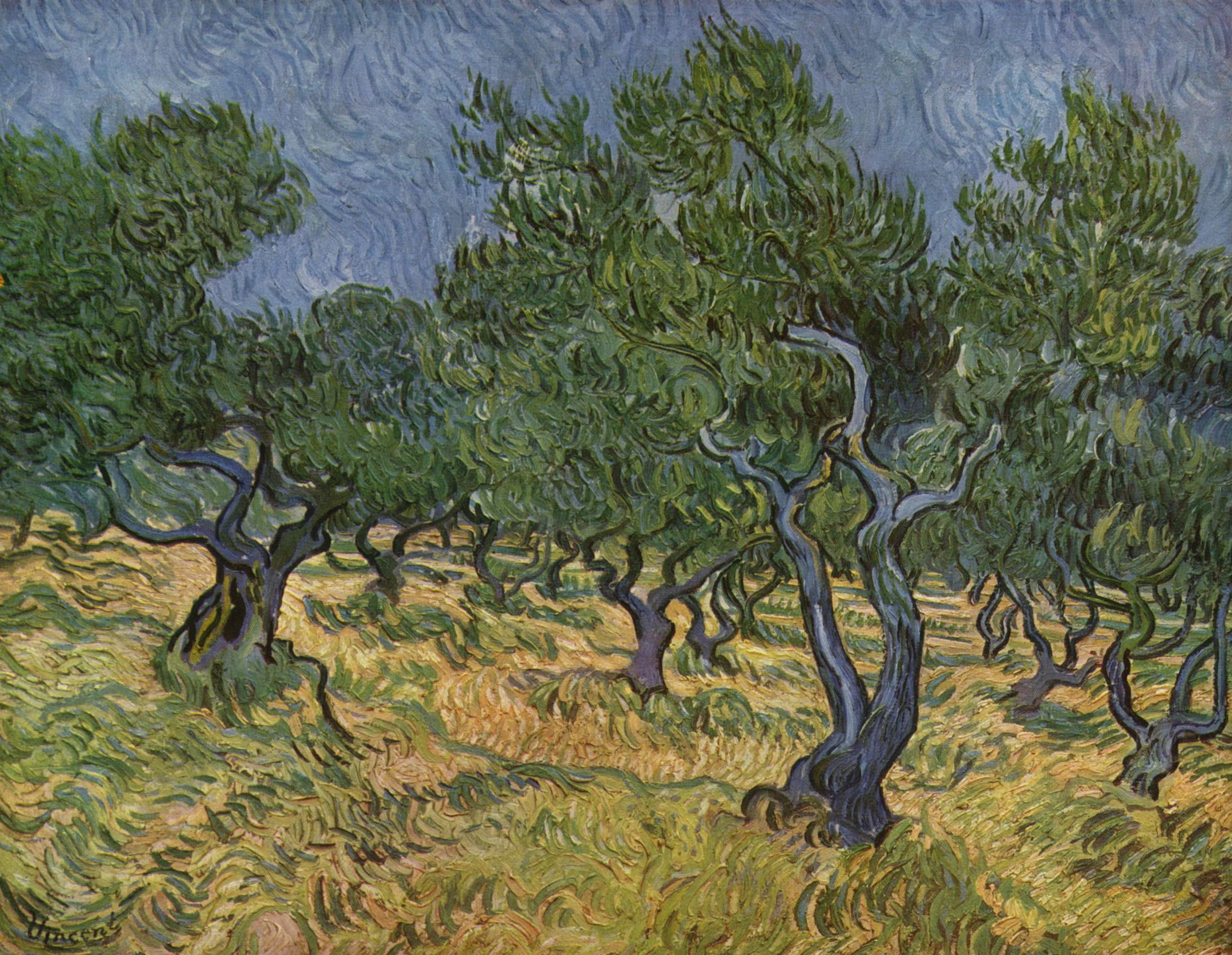 Olive Orchard by Vincent van Gogh.